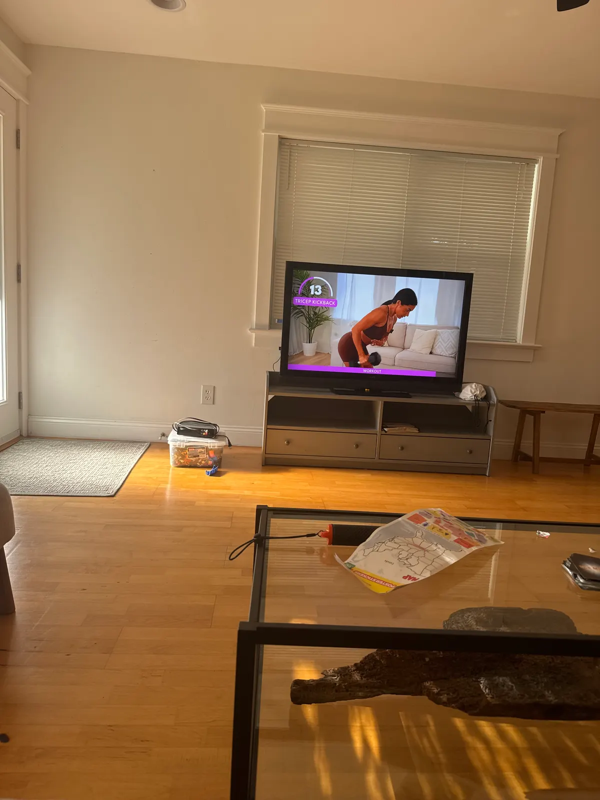Flat-screen TV with media stand