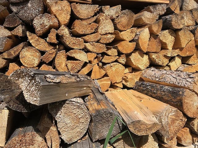 Free split firewood from a downed pine