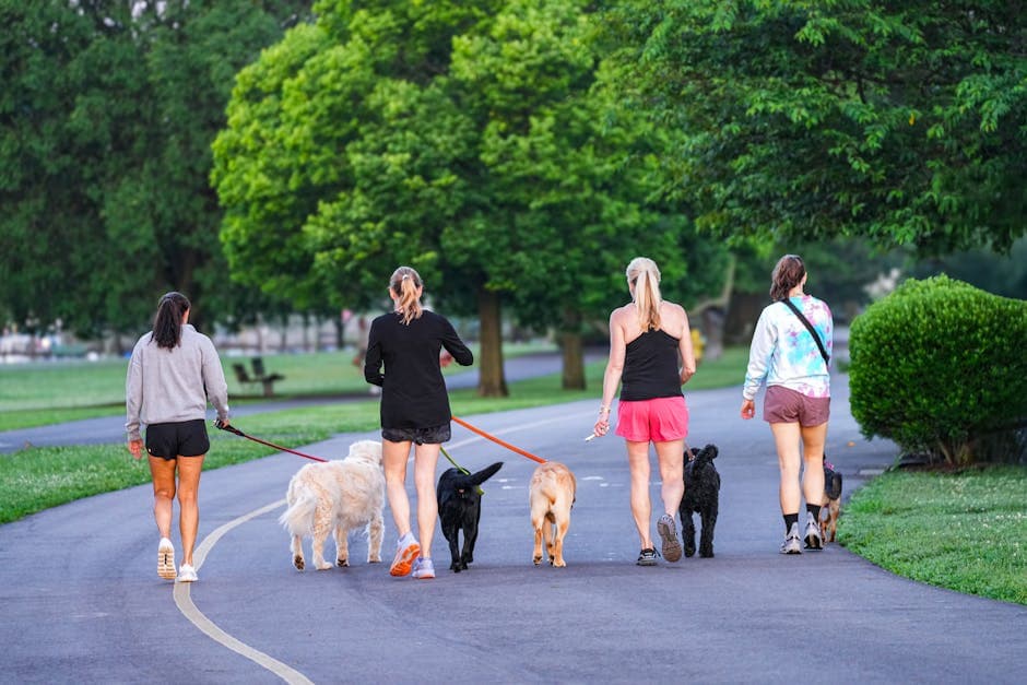 Overnight Pet Boarding